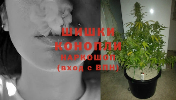 бошки Медвежьегорск