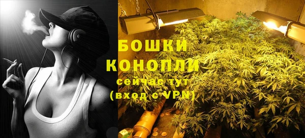 ПСИЛОЦИБИНОВЫЕ ГРИБЫ Медногорск
