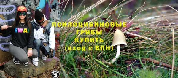 бошки Медвежьегорск